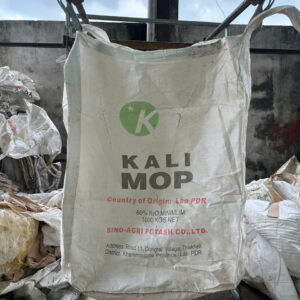 Bao jumbo đã qua sử dụng